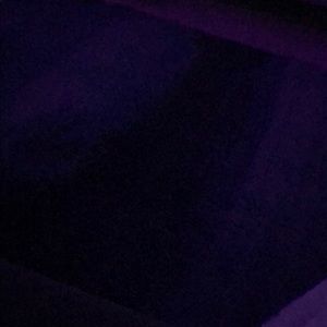 Meet your Posher, Hasly